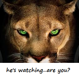 Digital TV & Satellite Systems