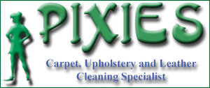Pixies Cleaning
